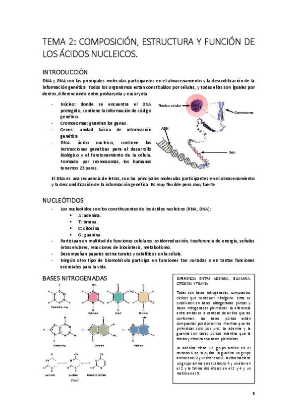 Miniatura del documento TEMA-2.pdf