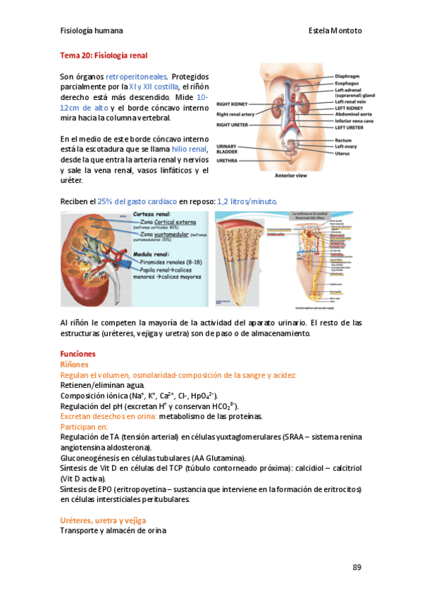 Miniatura del documento Fisiologia-tema-20-2020-21.pdf