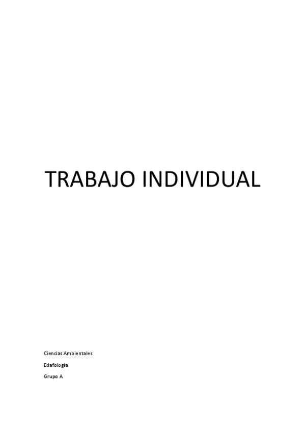 Miniatura del documento Trabajo-individual.pdf