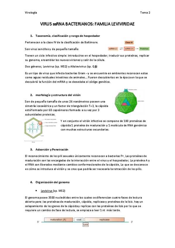 Miniatura del documento virologia-tema-2.pdf