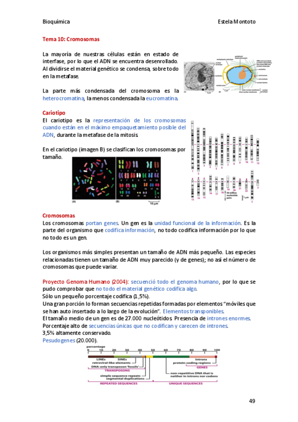 Miniatura del documento Bioquimica-tema-10-2020-21.pdf