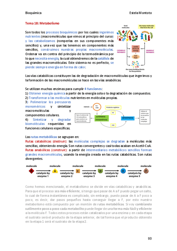 Miniatura del documento Bioquimica-tema-18-2020-21.pdf