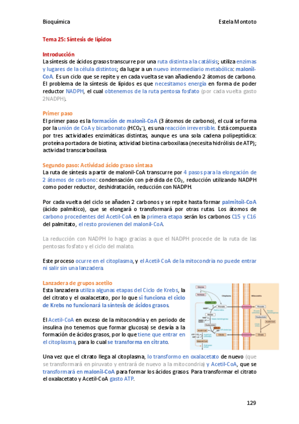 Miniatura del documento Bioquimica-tema-25-2020-21.pdf