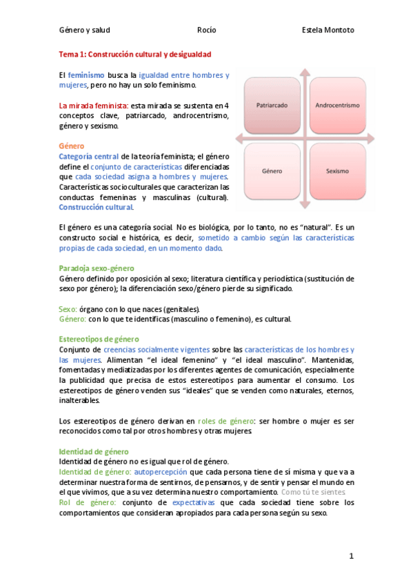 Miniatura del documento Genero-y-salud-tema-01-2020-21.pdf