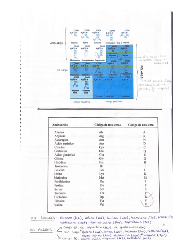 Miniatura del documento Guia-practicas.pdf