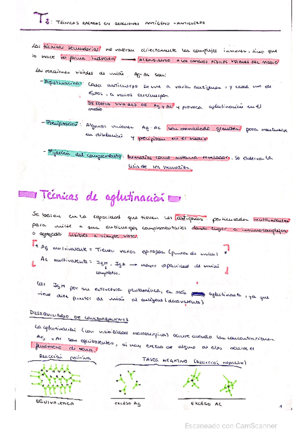 Miniatura del documento Tema-2-inmuno.pdf