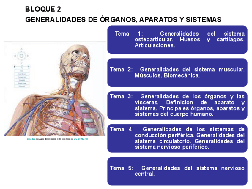 Miniatura del documento Tema-3.pdf
