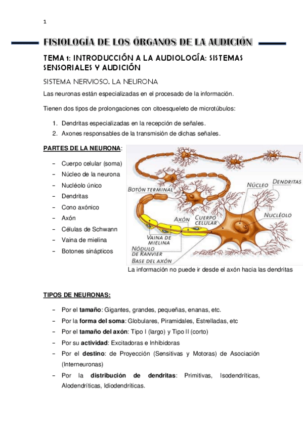 Miniatura del documento FISIOLOGIA-DE-LOS-ORGANOS-DE-LA-AUDICION.pdf