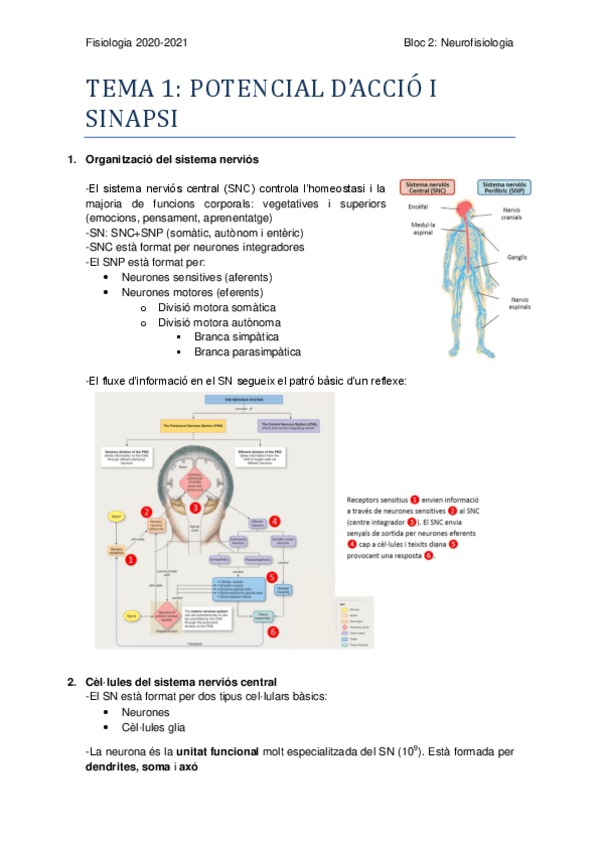 Miniatura del documento BLOC-TEMATIC-2.pdf