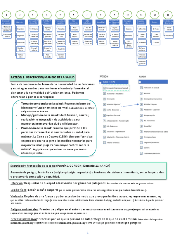 Miniatura del documento Patron-1-Percepcion-manejo-salud-2.pdf
