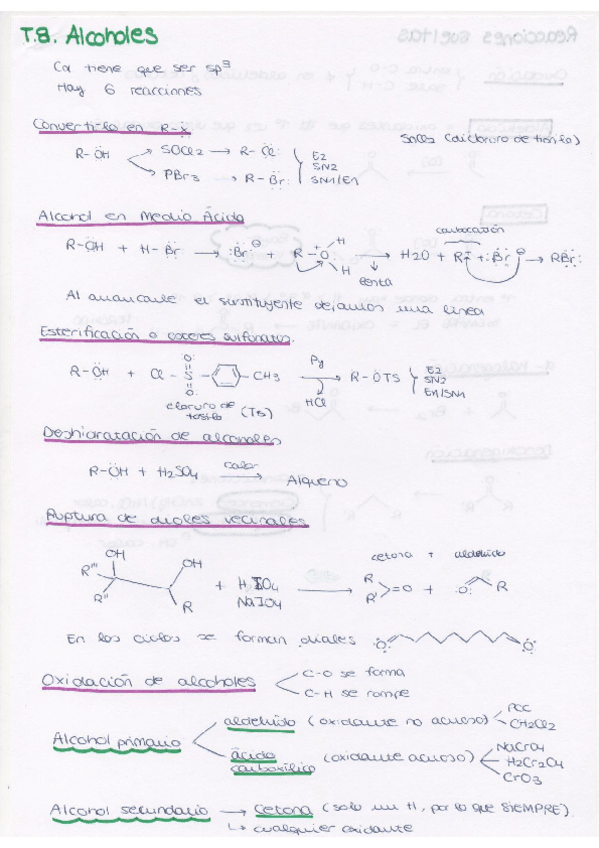 Miniatura del documento tema 8 alcoholes.pdf