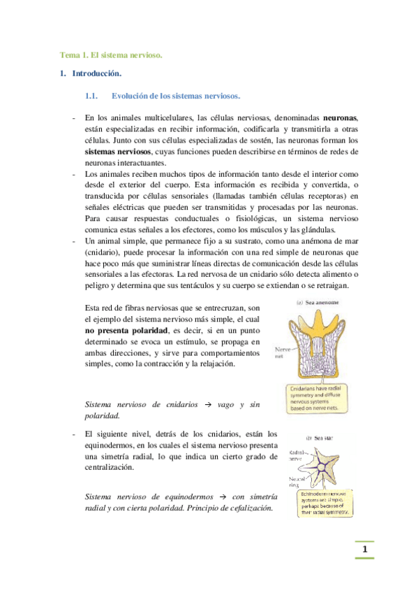Miniatura del documento Bloque 3 Sist. Nervioso.pdf