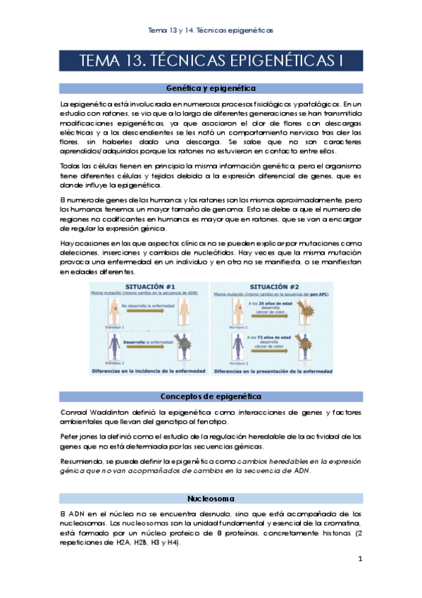 Miniatura del documento Tema-13-y14.pdf