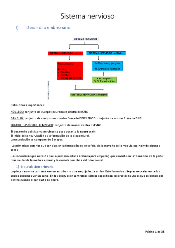 Miniatura del documento Apuntes-Sistema-nervioso-Completo.pdf