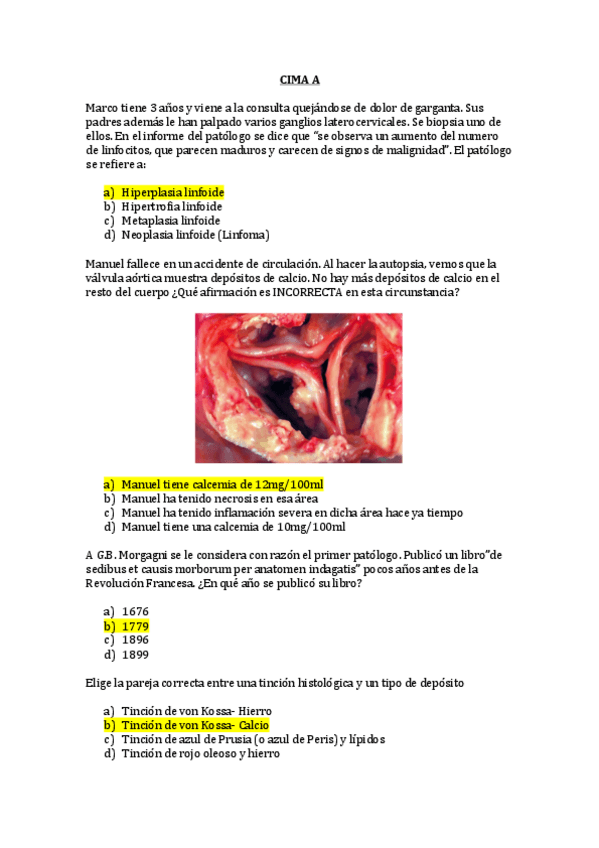 Miniatura del documento EX.pdf