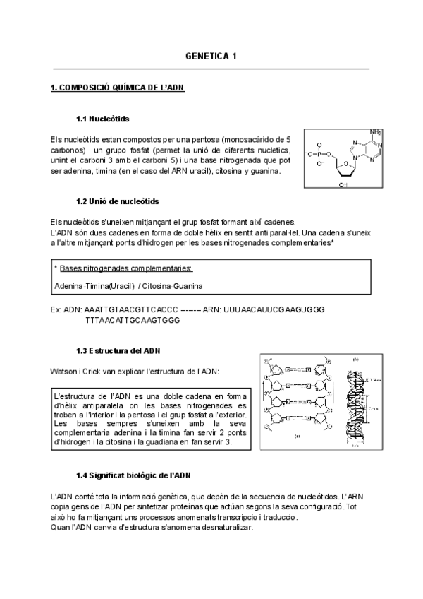 Miniatura del documento GENETICA-1.pdf