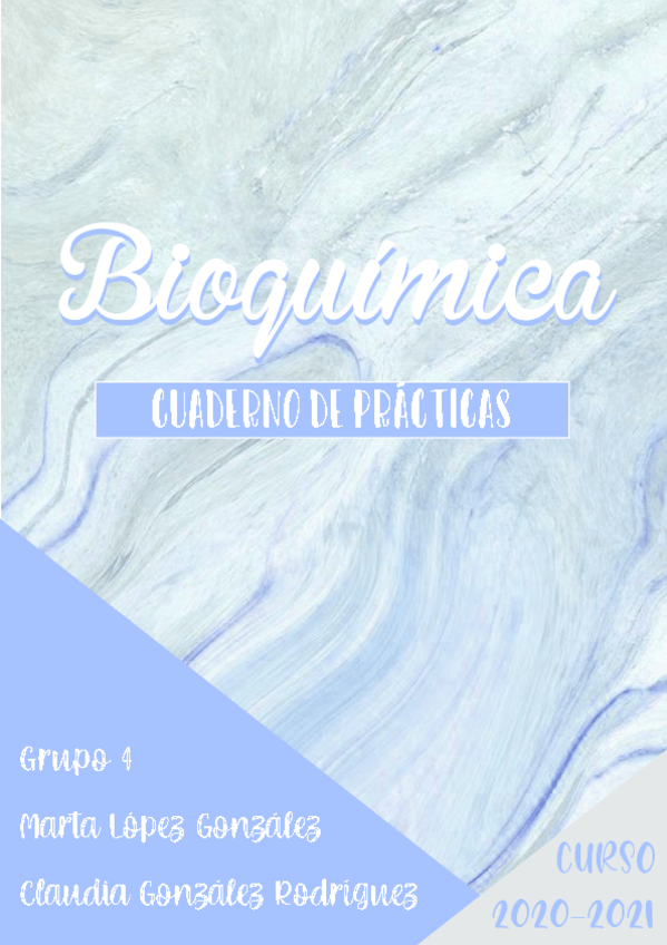 Miniatura del documento Cuaderno-de-practicas-BQ.pdf