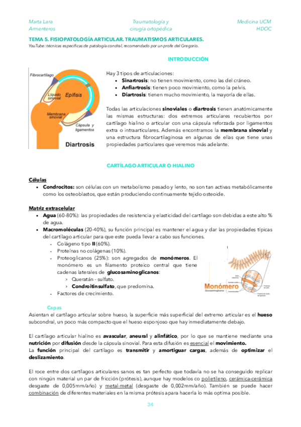 Miniatura del documento TRAU-TEMA-5.pdf