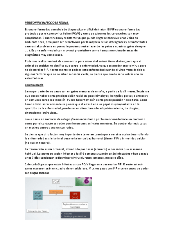 Miniatura del documento PIF.pdf