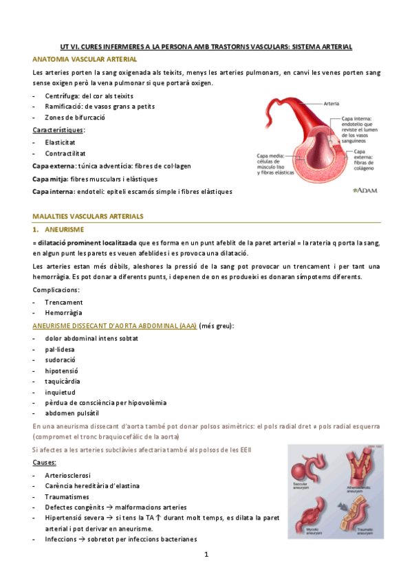 Miniatura del documento SISTEMA-ARTERIAL.pdf
