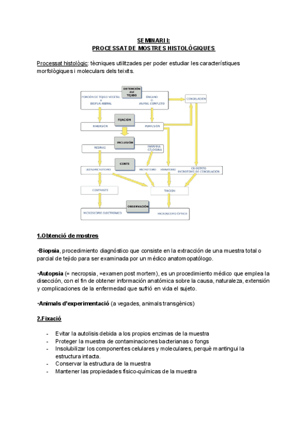 Miniatura del documento Seminaris-Histologia.pdf