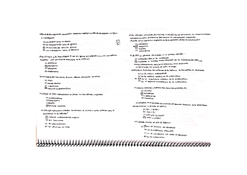 Miniatura del documento Examen-1.pdf