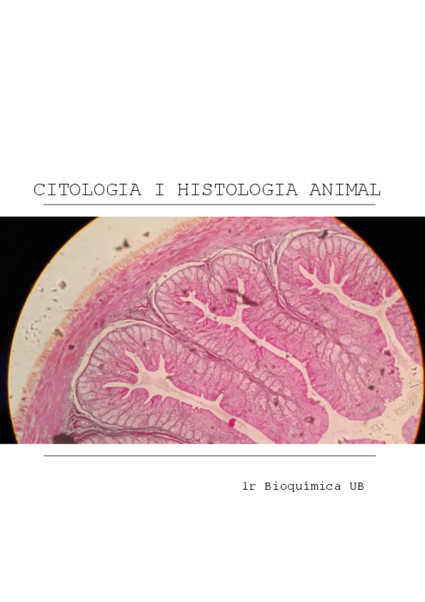 Miniatura del documento Citologia-i-Histologia-Animal.pdf