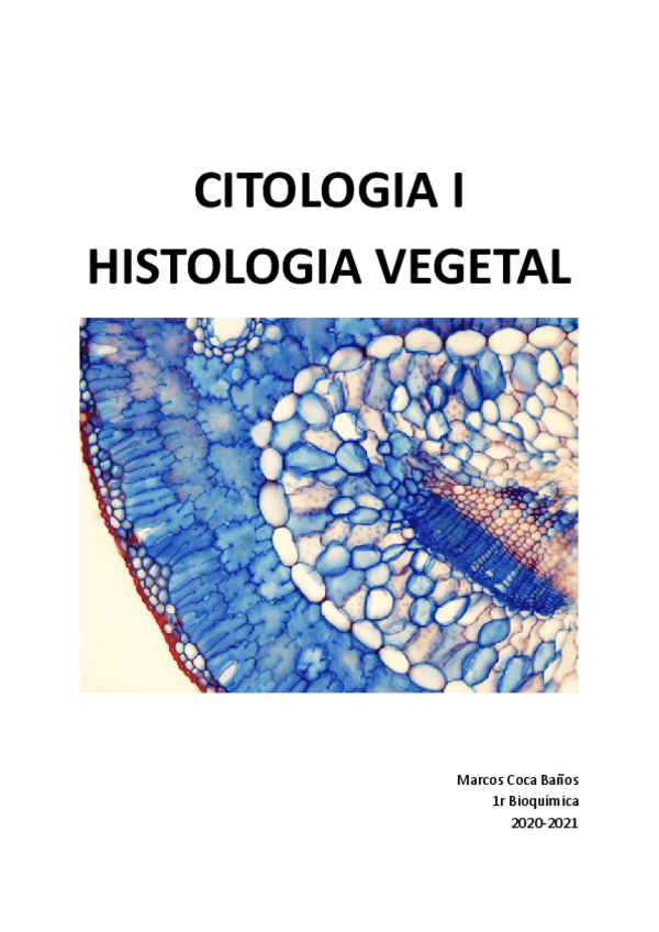 Miniatura del documento CITO-HISTO-VEGETAL-MARCOS-COCA.pdf