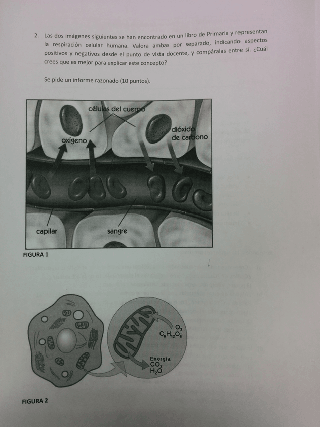 Miniatura del documento IMG_20141030_092000.jpg
