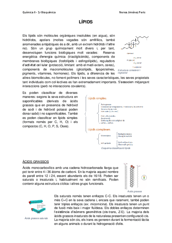 Miniatura del documento LIPIDS-Nerea-Jimenez.pdf