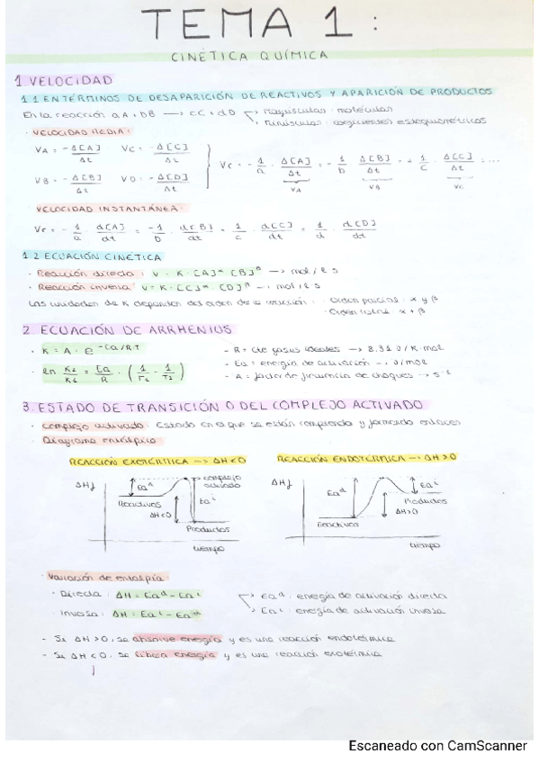 Miniatura del documento tema-1-cinetica-quimica-quimica.pdf