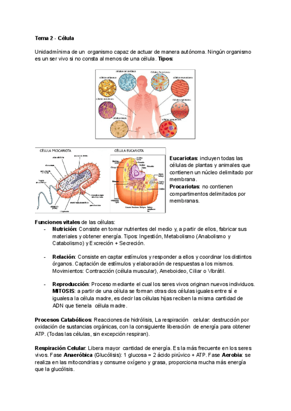 Miniatura del documento Tema-2-Celula.pdf