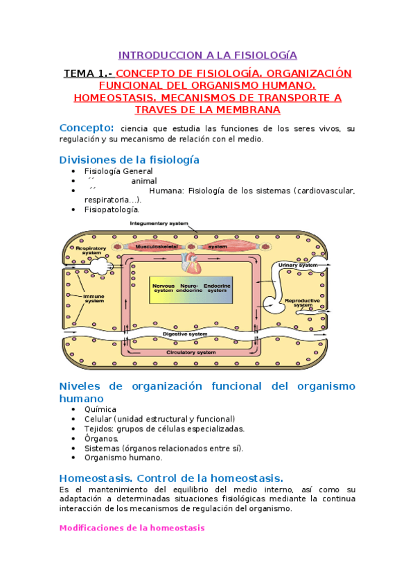 Miniatura del documento TEMA-1.docx