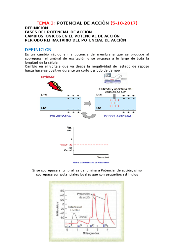 Miniatura del documento TEMA-3-POTENCIAL-DE-ACCION-5-10-2017.docx