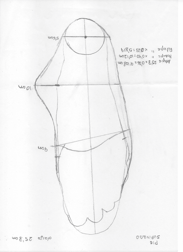 Miniatura del documento PIE-SUPINADO.jpg