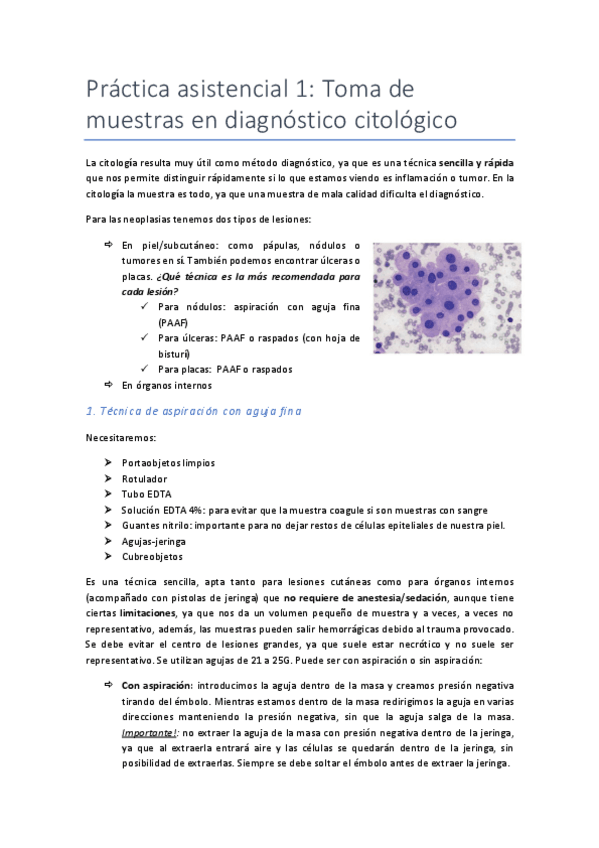 Miniatura del documento Practica-asistencial-1.pdf