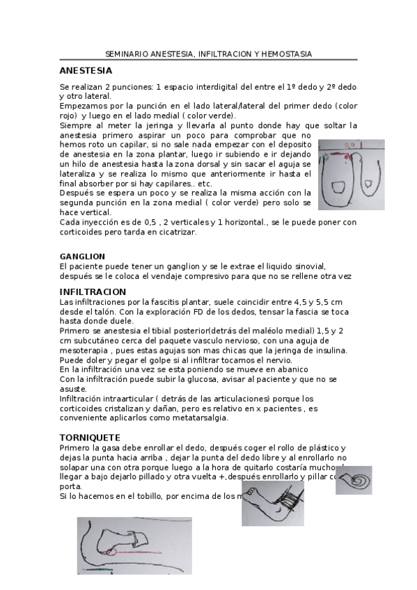 Miniatura del documento SEMINARIO-ANESTESIA-solo-apuntes.docx