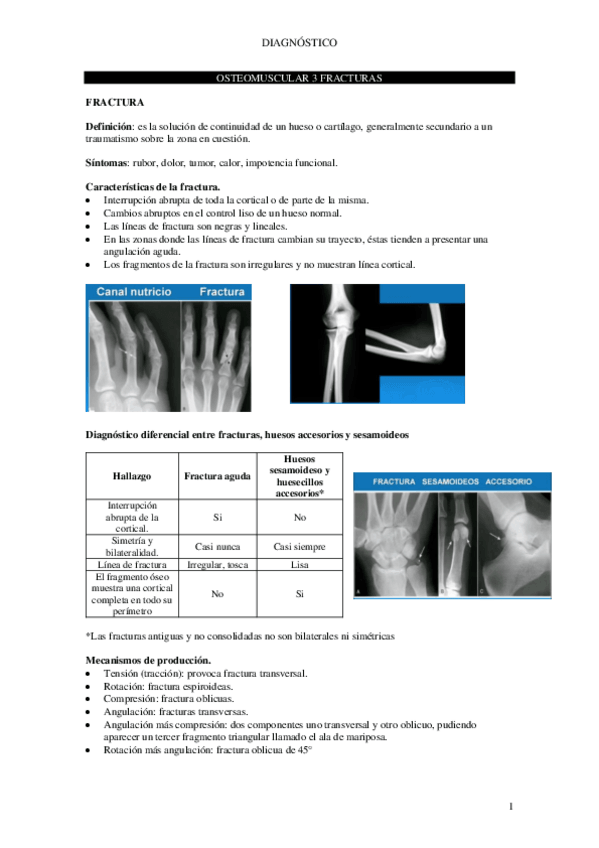 Miniatura del documento Tema-11.pdf