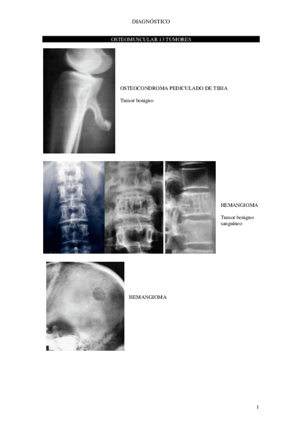 Miniatura del documento Tema-26.pdf
