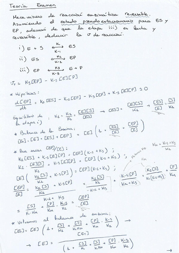 Miniatura del documento 13.jpg