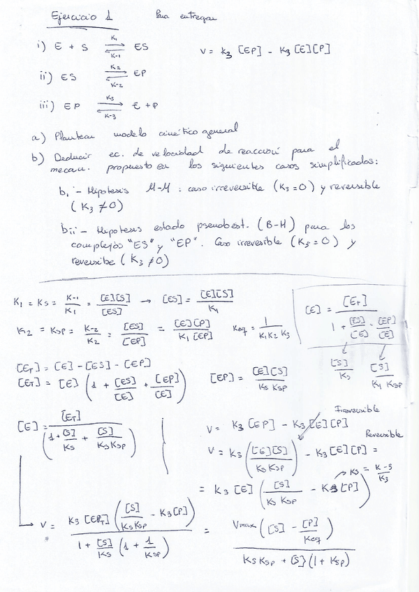 Miniatura del documento 21.jpg