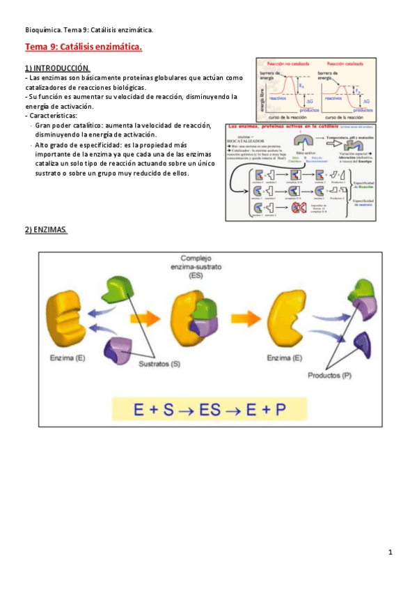 Miniatura del documento Tema-9.pdf