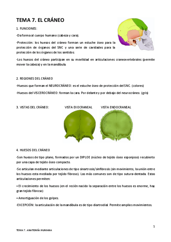 Miniatura del documento TEMA-7.pdf