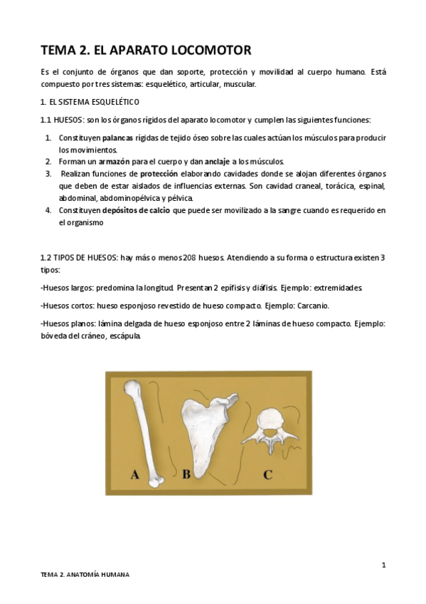 Miniatura del documento TEMA-2.pdf