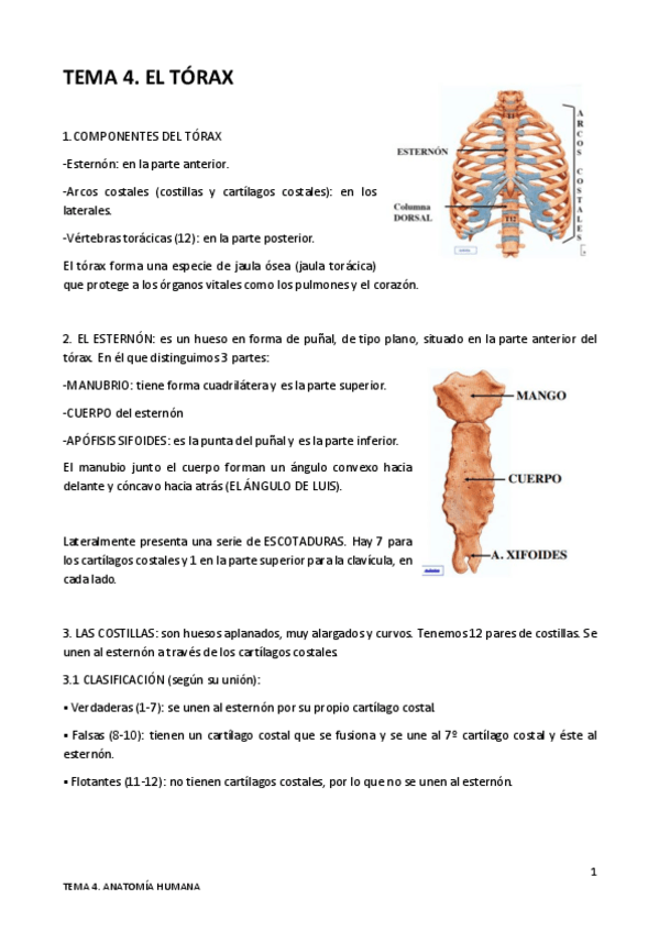Miniatura del documento TEMA-4.pdf
