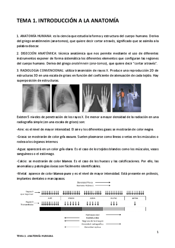 Miniatura del documento TEMA-1.pdf