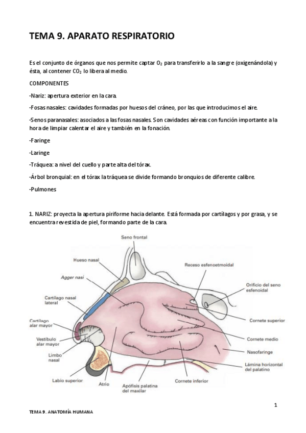 Miniatura del documento TEMA-9.pdf