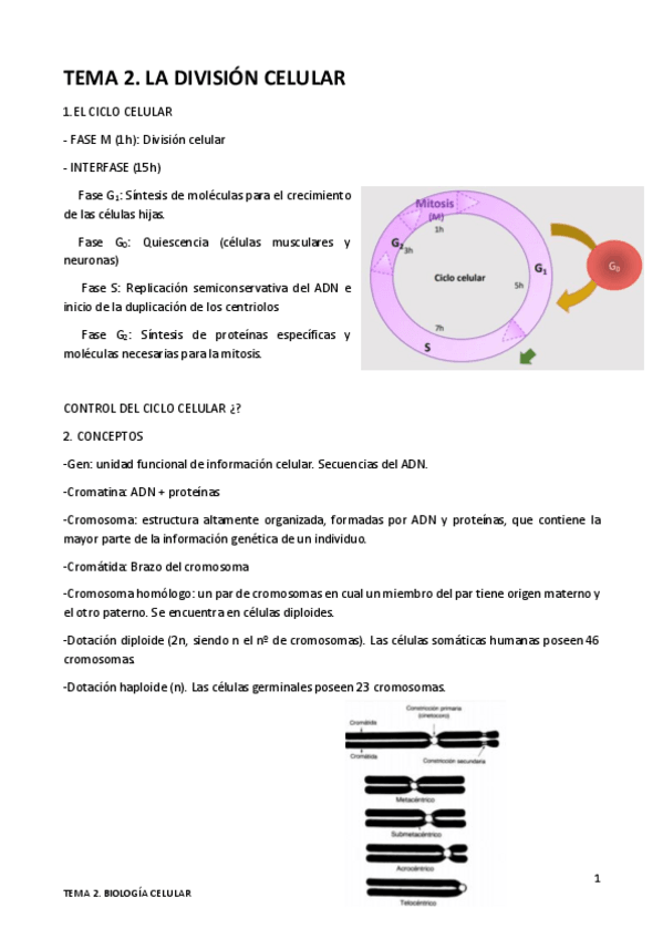 Miniatura del documento TEMA-2.pdf