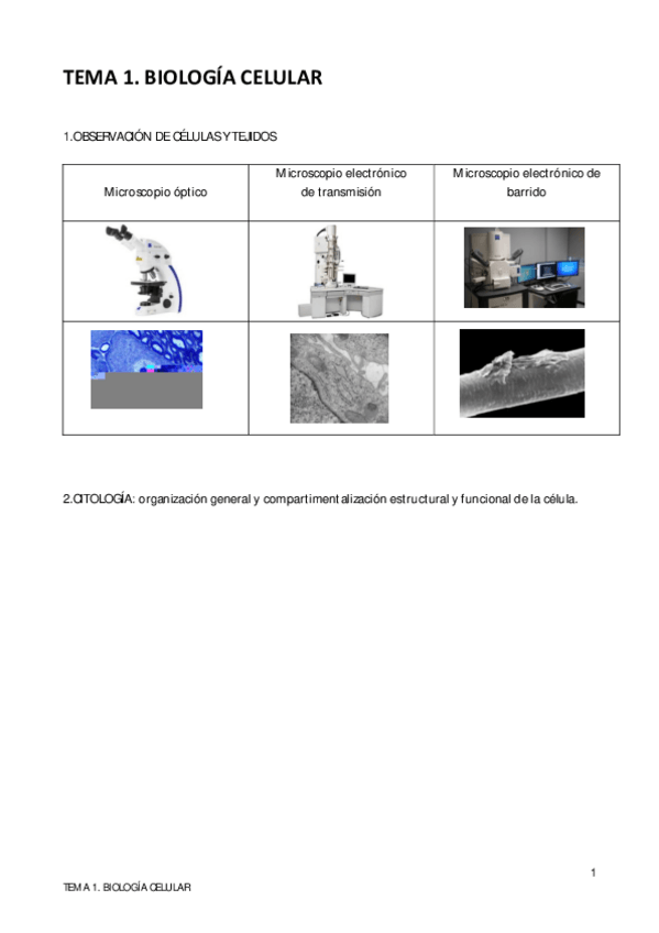 Miniatura del documento TEMA-1.pdf