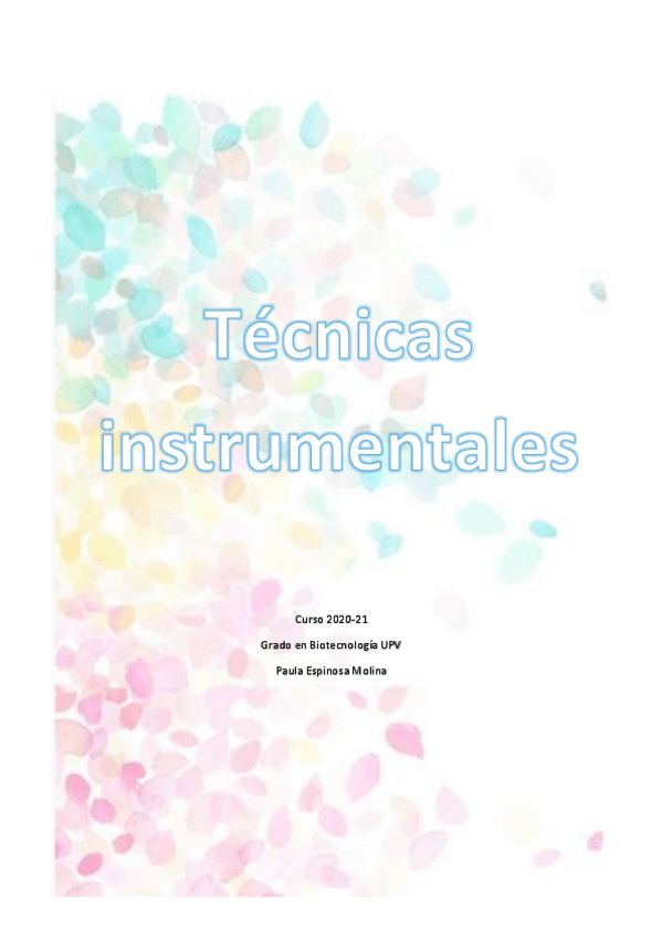 Miniatura del documento Teoria-TI-paula.pdf